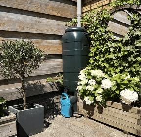 Water Butts for harvesting the Rain water.