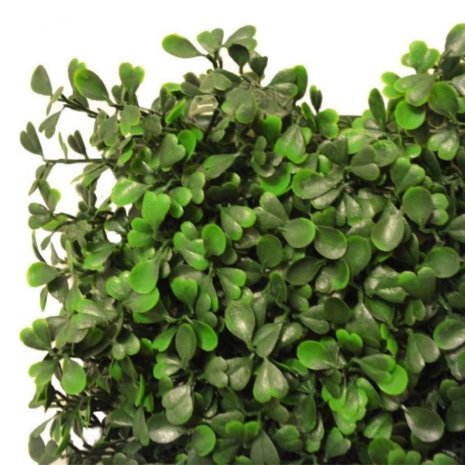 50cm Boxwood Artificial Hedge Panel