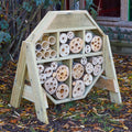 Bugsville Hive