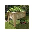 Deep Root Planter