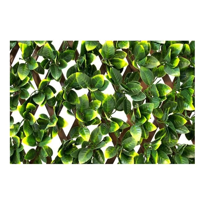 Extendable Artificial Poplar Screening Brown Trellis