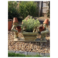 Flower Pot Man - X 2 Men with Small Planter