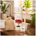Grow Your Own Bonsai Kit