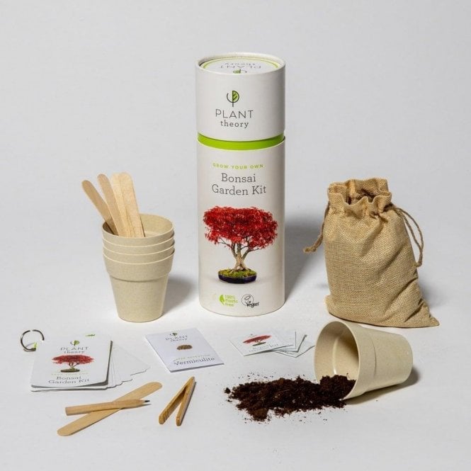 Grow Your Own Bonsai Kit