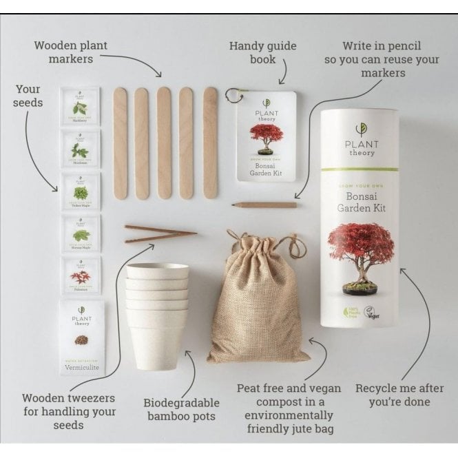 Grow Your Own Bonsai Kit