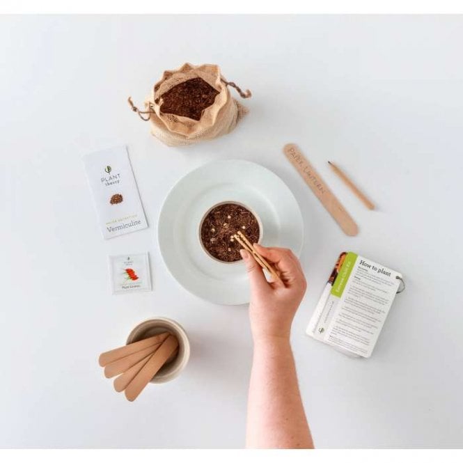 Grow Your Own Kitchen Garden Trio Kit