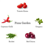 Grow Your Own Kitchen Garden Trio Kit