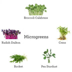 Grow Your Own Kitchen Garden Trio Kit