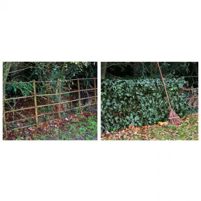 Ivy Hedge Artificial Fencing Screening 3.0m x 1.0m (10ft x 3ft 3in)