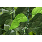 Ivy Hedge Artificial Fencing Screening 3.0m x 1.0m (10ft x 3ft 3in)