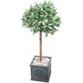 Lead Effect Square Planter