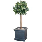 Lead Effect Square Planter