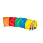 Multi-Coloured Worm