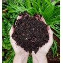 Multi Purpose Top Soil