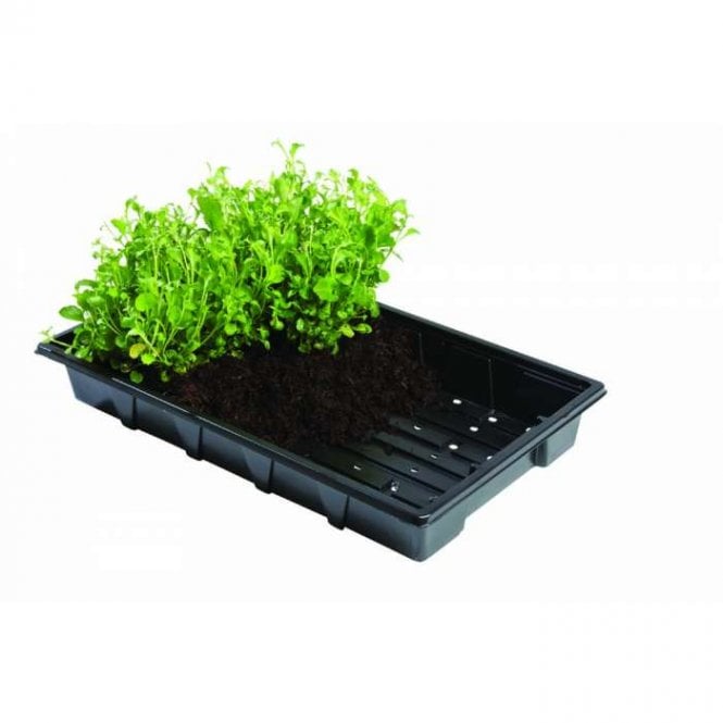 Professional Seed Trays - 5 Pack
