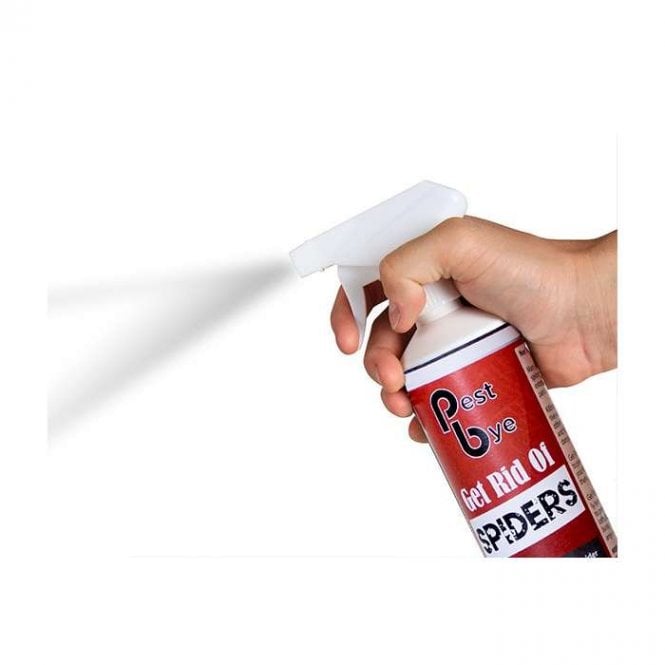Spider Repellent Spray By PestBye