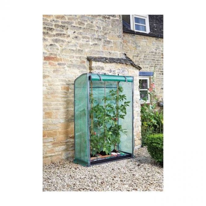 Tomato, Cucumber, Chillie and Pepper Growing Propagator