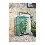 Tomato, Cucumber, Chillie and Pepper Growing Propagator