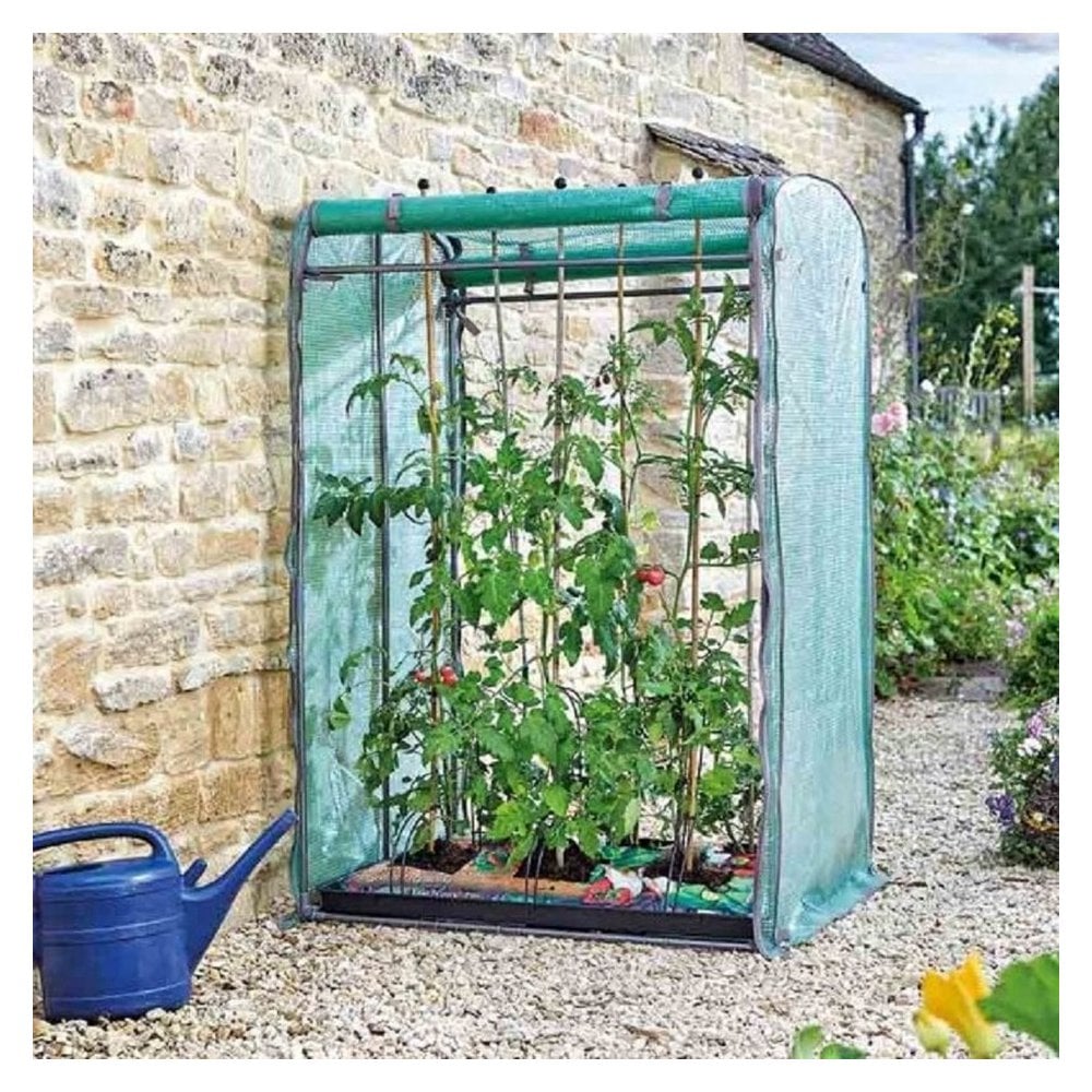 Tomato, Cucumber, Chillie and Pepper Growing Propagator