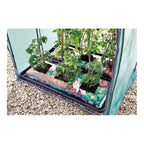 Tomato, Cucumber, Chillie and Pepper Growing Propagator