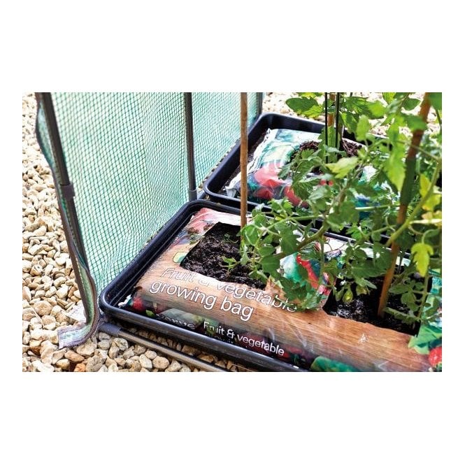 Tomato, Cucumber, Chillie and Pepper Growing Propagator