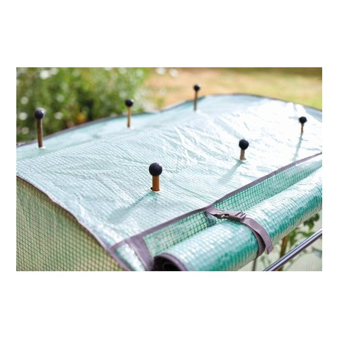 Tomato, Cucumber, Chillie and Pepper Growing Propagator